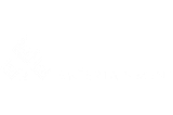NetGame fornitore di giochi